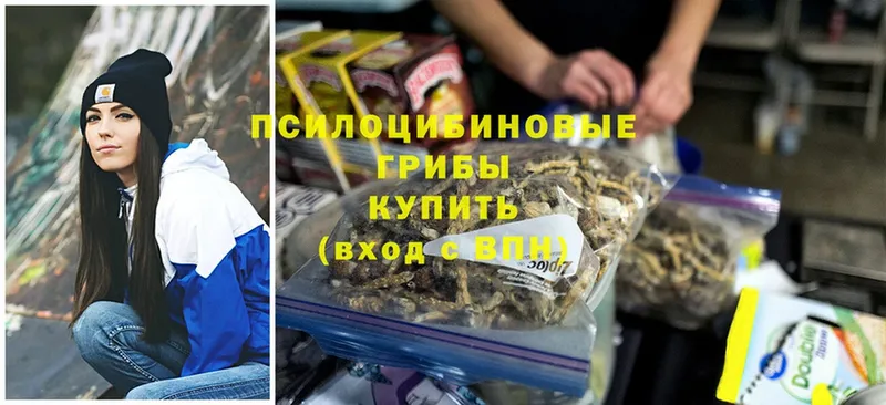 МЕГА вход  Валуйки  Псилоцибиновые грибы MAGIC MUSHROOMS 